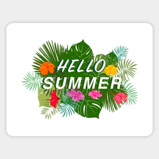 Hello Summer text Sticker